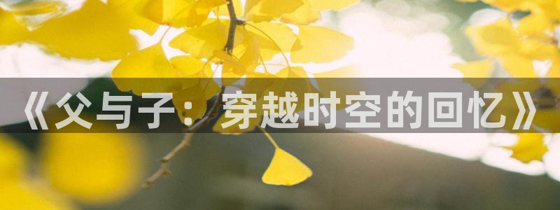 汗汗漫画 视频：《父与子：穿越时空的回忆》