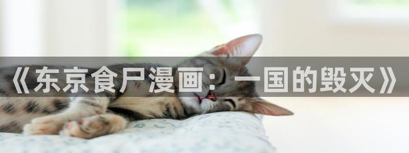 汗汗漫画页面入口