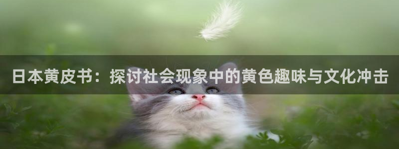 汗汗漫画网站入口直接打开