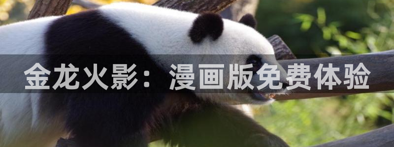 汗汗漫画真人