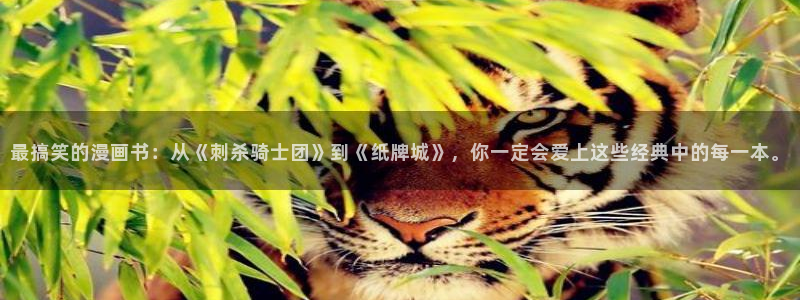 汗汗漫画网首页