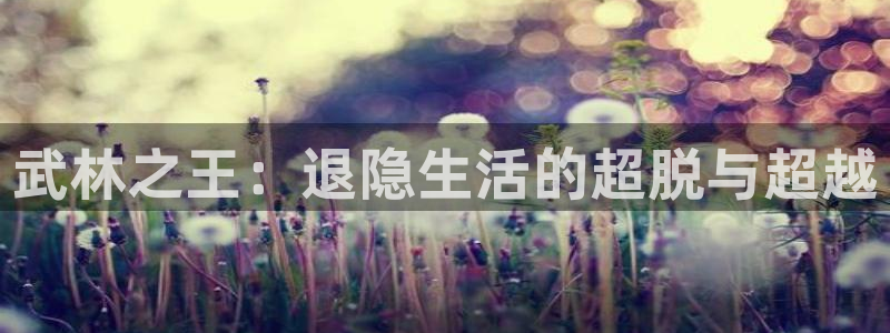 汗汗漫画免费下拉：武林之王：退隐生活的超脱与超越
