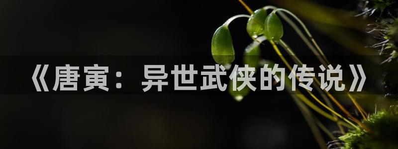 羞羞漫画歪歪汗汗汗漫画原神：《唐寅：异世武侠的传说》
