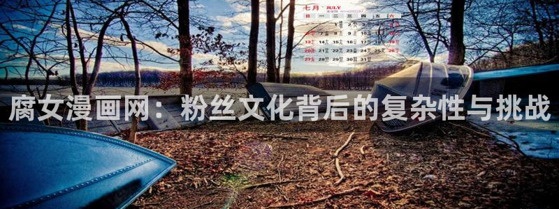 汗汗漫画画免费观看下拉式：腐女漫画网：粉丝文化背后的复杂性与挑战