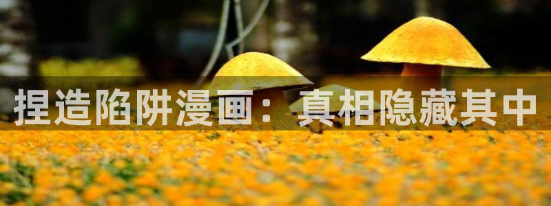 汗汗漫画网站入口直接打开：捏造陷阱漫画：真相隐藏其中