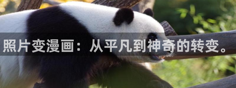 汗汗漫画导航：照片变漫画：从平凡到神奇的转变。