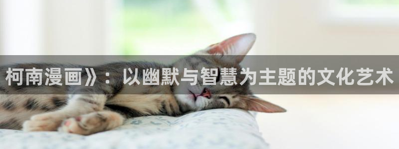 汗汗汗汗汗漫画：柯南漫画》：以幽默与智慧为主题的文化艺术
