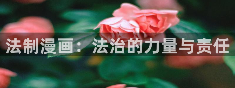 汗汗漫画在线观看免费版完整：法制漫画：法治的力量与责任