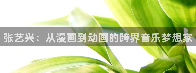 汗汗漫画怎么不见了：张艺兴：从漫画到动画的跨界音乐梦想家