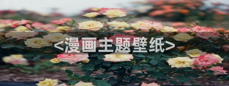 汗汗漫画电影：<漫画主题壁纸>