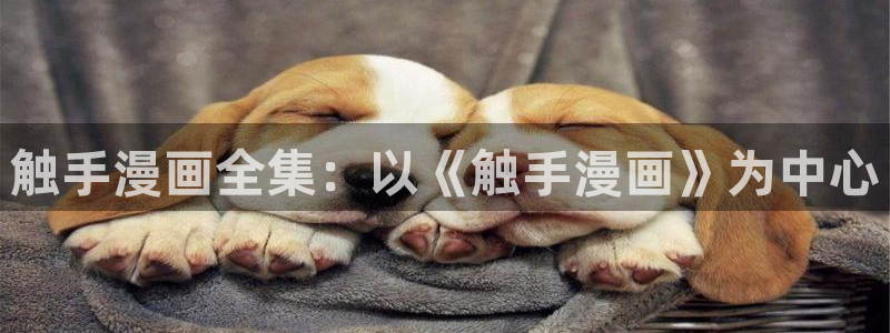 汗汗漫画寄宿日记：触手漫画全集：以《触手漫画》为中心