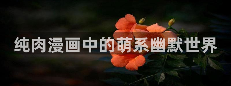汗汗漫画一一羞羞漫画：纯肉漫画中的萌系幽默世界