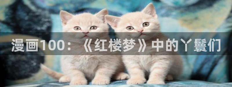 汗汗漫画免费阅读在线阅读：漫画100：《红楼梦》中的丫鬟们