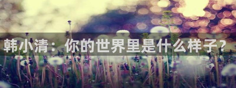 羞羞漫画汗汗漫画入口：韩小清：你的世界里是什么样子？
