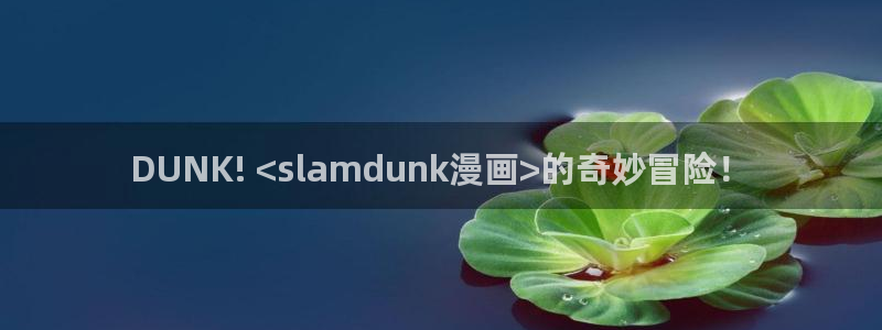 汗汗漫画大全：DUNK! <slamdunk漫画>的奇妙冒险！