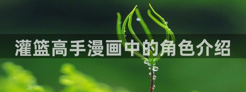 汗汗漫画免费登录页面看漫画：灌篮高手漫画中的角色介绍