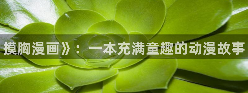 汗汗漫画首页进入：摸胸漫画》：一本充满童趣的动漫故事