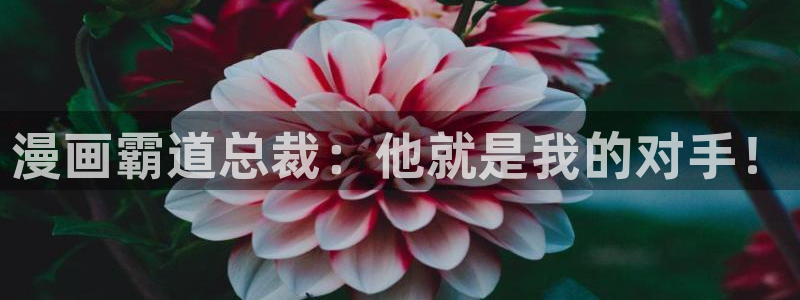 汗汗漫画网网：漫画霸道总裁：他就是我的对手！